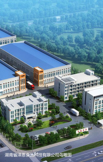 湖南大成食品有限公司